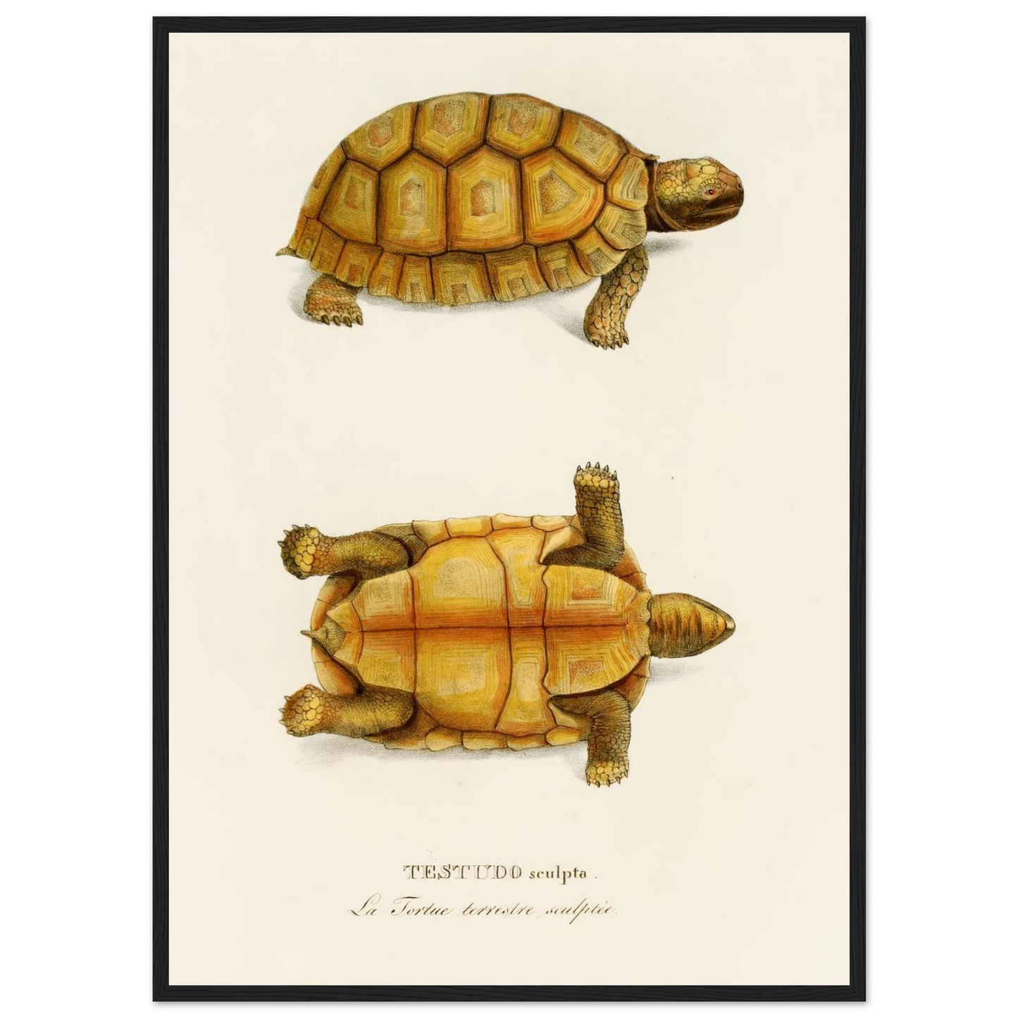 0010d377-a75c-47d7-b393-5d6a0e188588