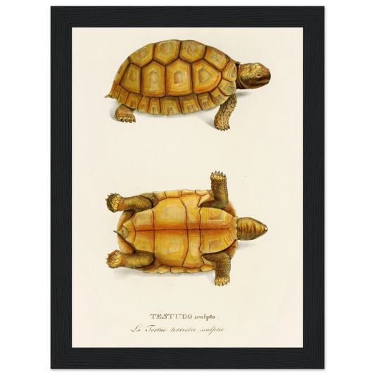 7782c340-edd6-48e4-b650-d0bce4677941