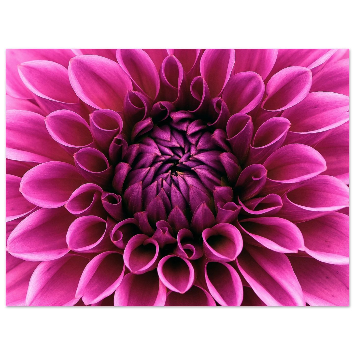 78d2266c-234b-4452-8aa9-a249b57315e1