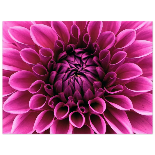 78d2266c-234b-4452-8aa9-a249b57315e1