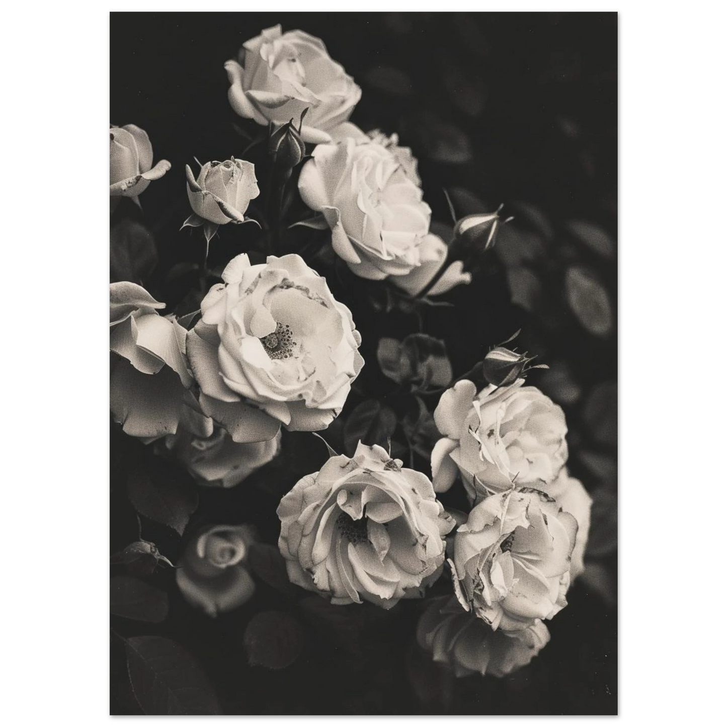 e436d651-fc29-4044-8744-a72c1bfd2534