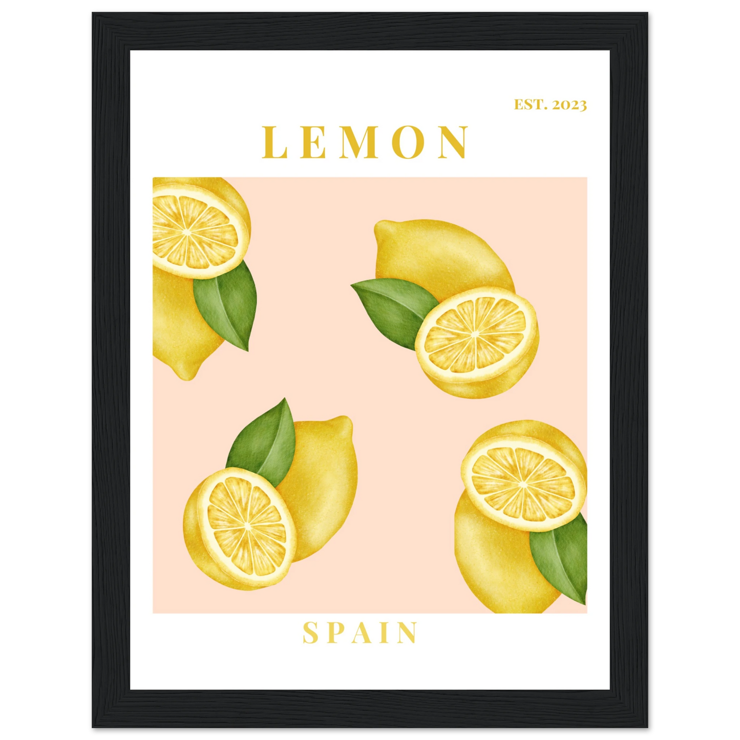 6527ef95-eac6-4feb-a7e2-66b3525306a2