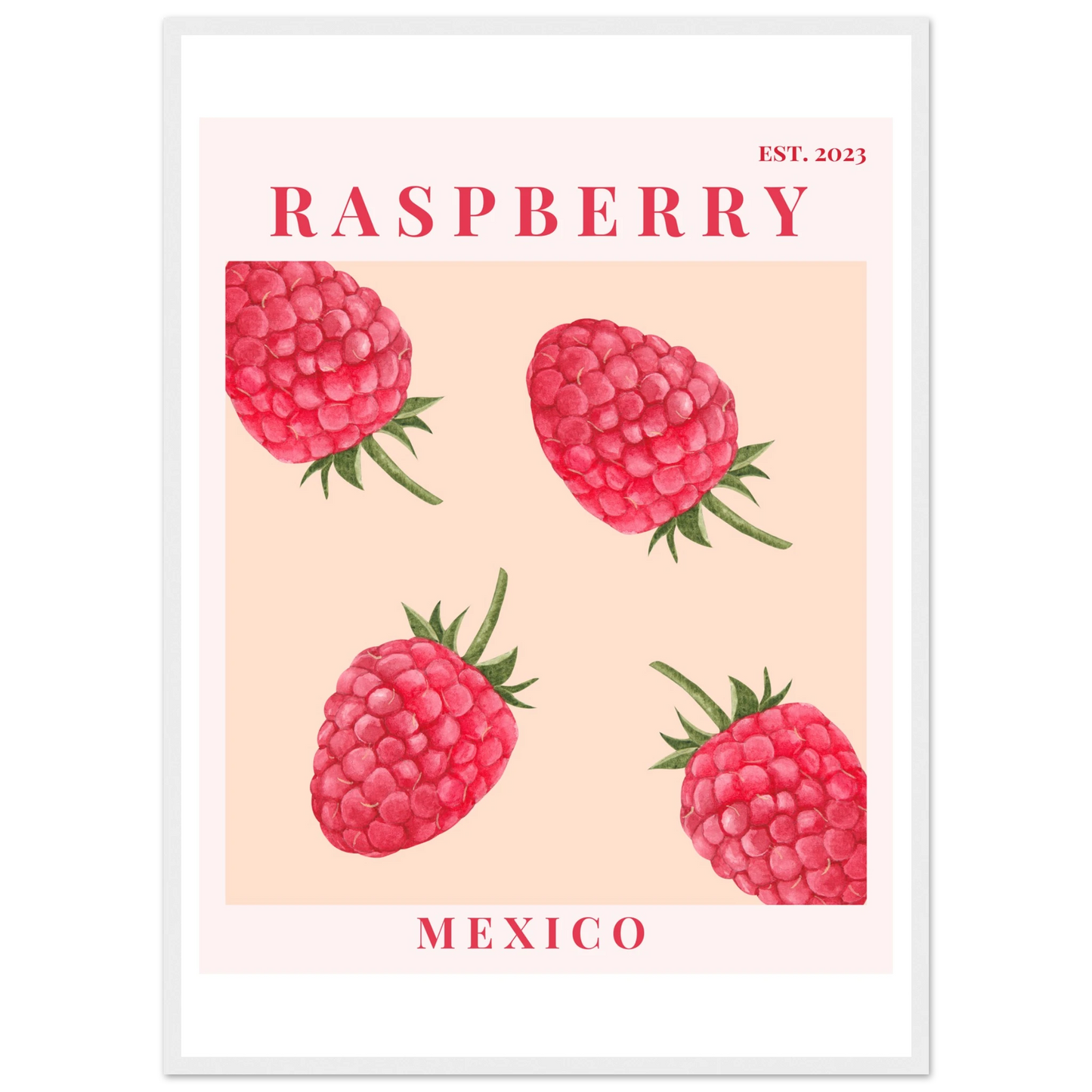 888b031b-b4bb-4dc6-b0d0-f4c46dc88310