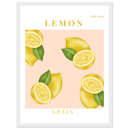 8bb26e59-79f9-4ba9-9db0-0d4d0edc4f44